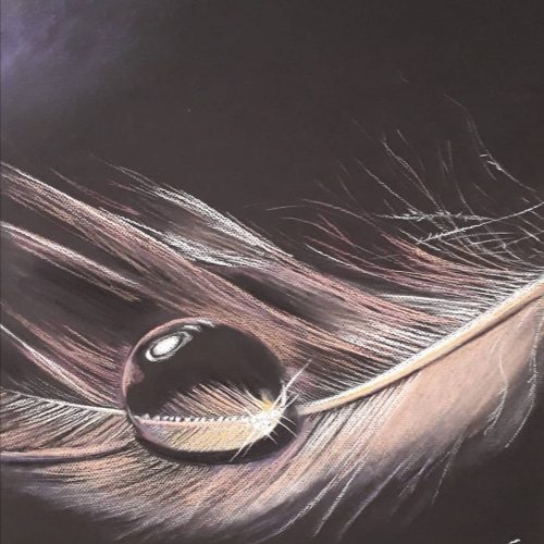 Screenshot_20220419_143528